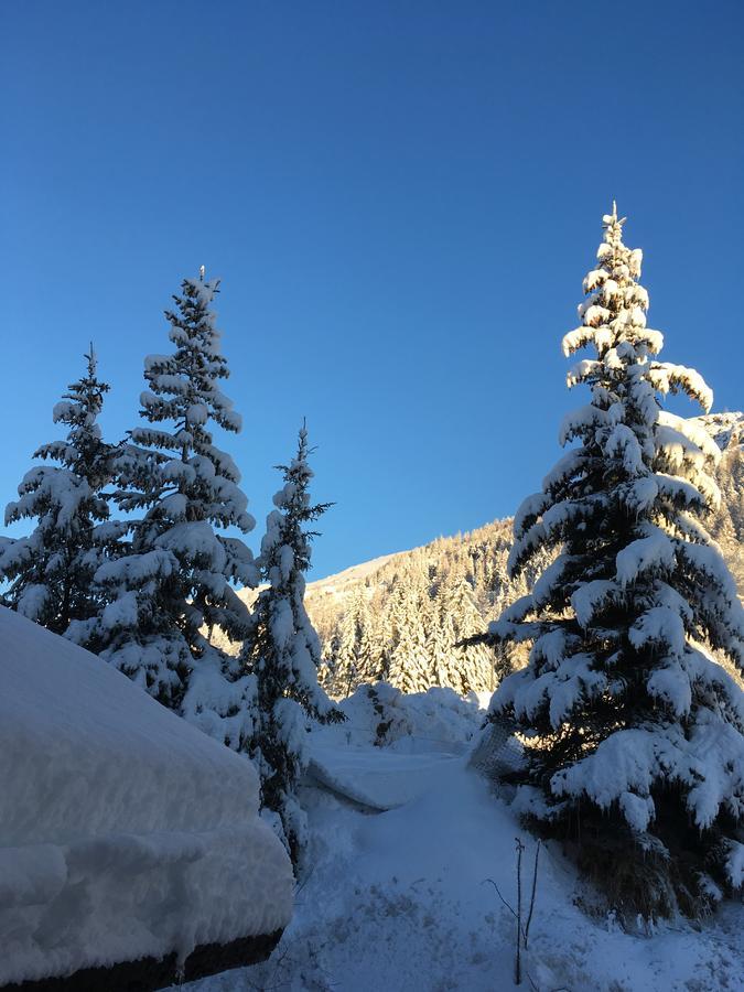 Auberge De Violaine Le Monêtier-les-Bains Exterior foto